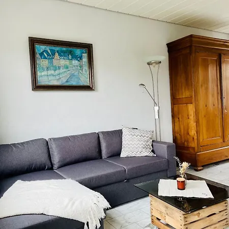 Vakantiehuis Haus Direkt An Der Saar - Altstadt - Flussblick *