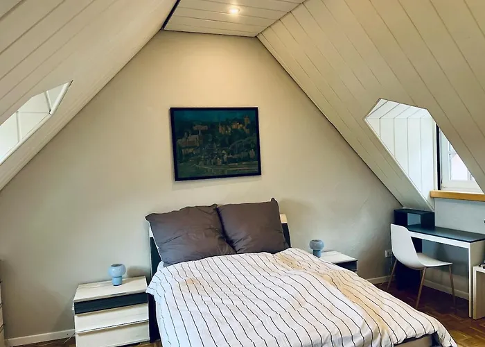 Vakantiehuis Haus Direkt An Der Saar - Altstadt - Flussblick *